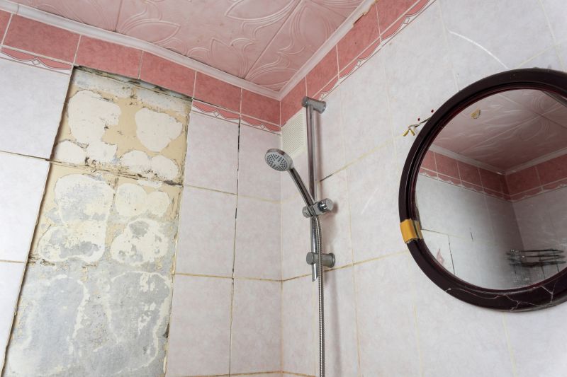 Top Shower Remodeling Companies in Austin, TX