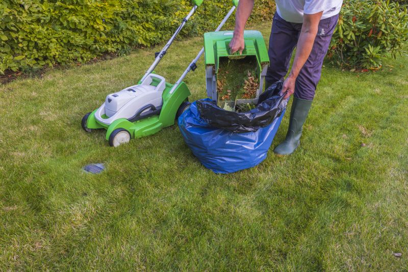 Lawn Repair Service