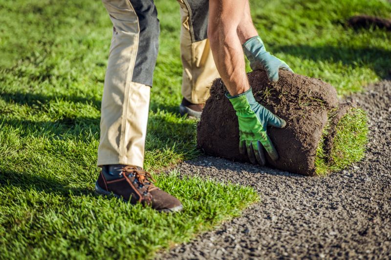 Sod Installation