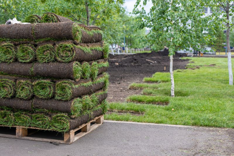 Sod Landscaping