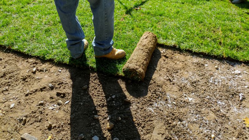Sod Laying Service